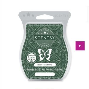 Scentsy December 2021 scents of the month